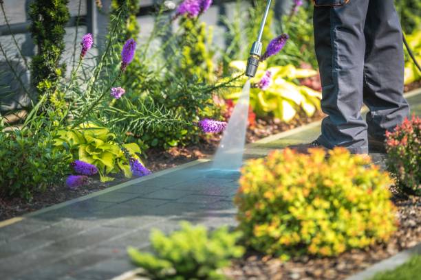 Trusted Bigfoot, TX Pressure Washing Services Experts
